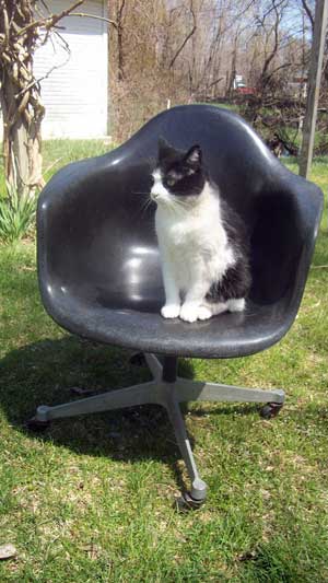 Herman Miller shell chair